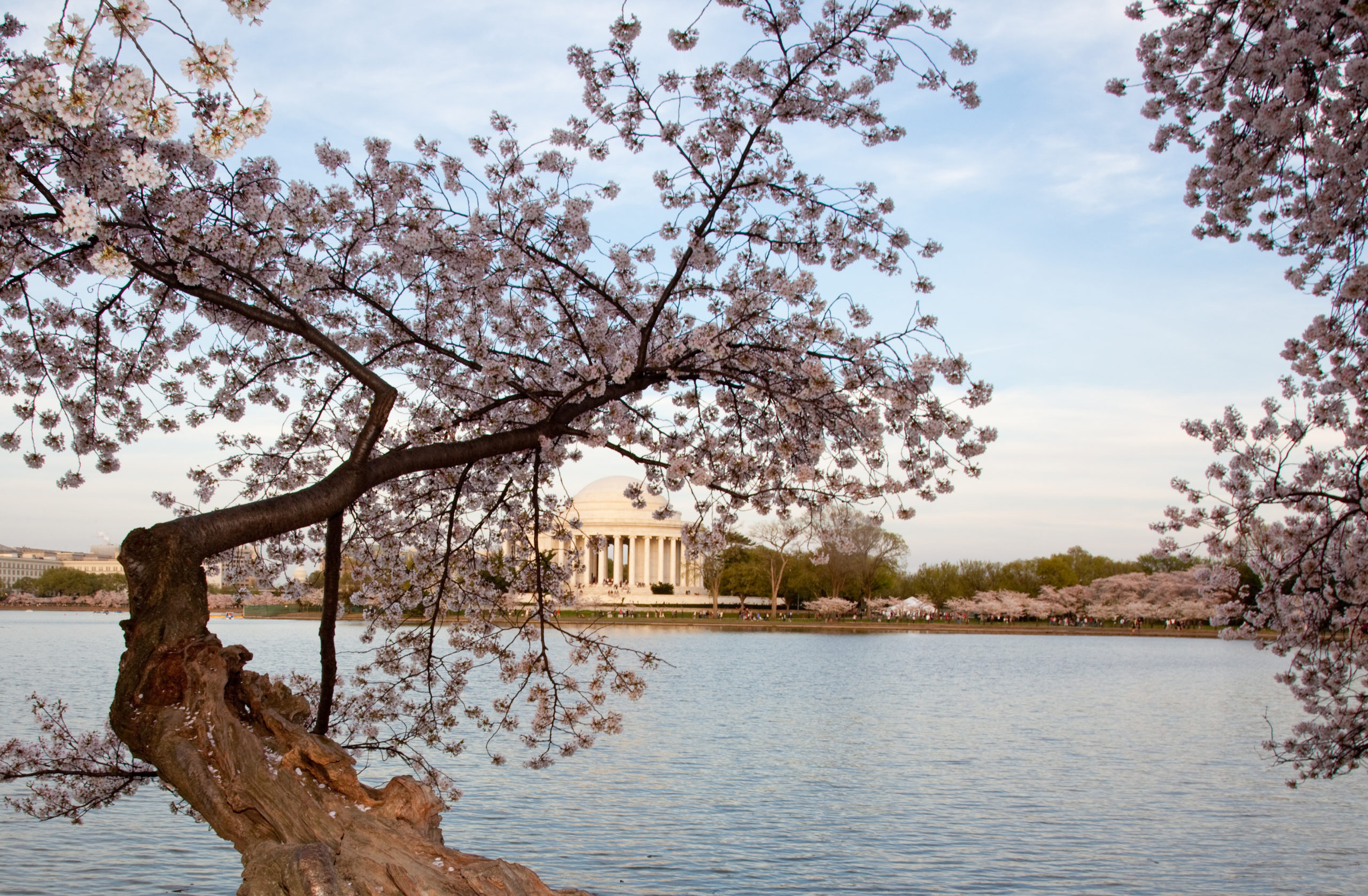 Independent Government IT Solutions – Extending Hardware Life for servers, data storage and networking.